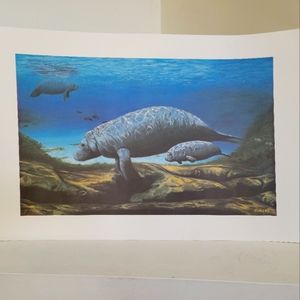 Sanders - Manatee and Baby